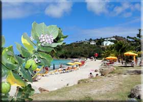 Friar's Bay St Martin Beaches St Maarten Beaches Sint Maarten Beaches Saint Martin Beaches