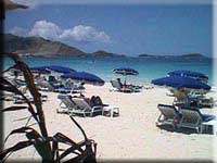 Kakao at Orient Beach St Martin Beaches St Maarten Beaches Sint Maarten Beaches Saint Martin Beaches